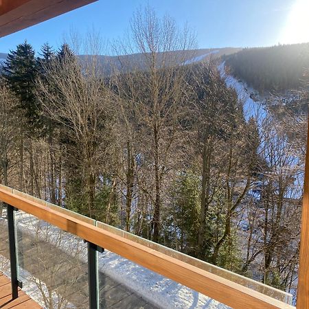 Špindlerŭv Mlýn Avenue Chalet المظهر الخارجي الصورة